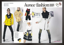 韓依依女裝產(chǎn)品與店鋪裝修設(shè)計賞析